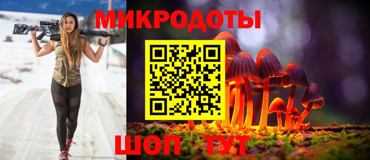как найти   Псилоцибиновые грибы мухоморы  Вход с VPN  Новодвинск 